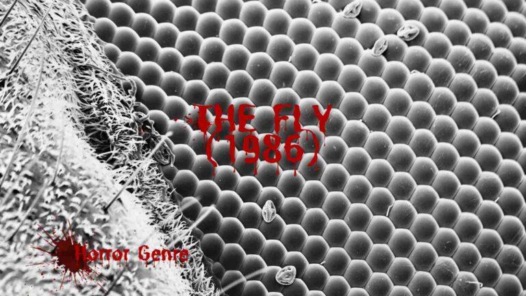 microscopic view of a fly eye cells